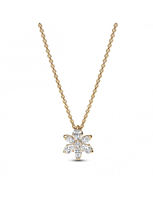 Colar Pendente Herbário Pandora