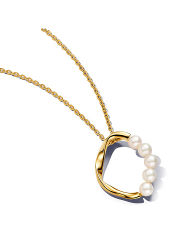 Colar Forma Organica Pandora