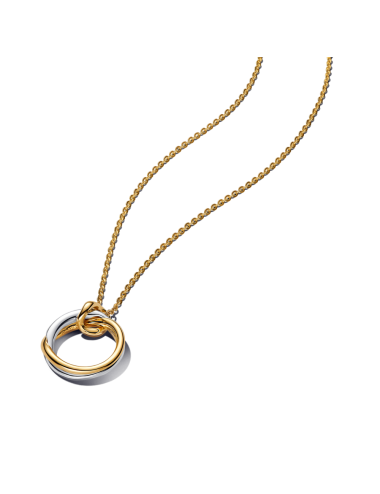 Colar Pendente Dois Tons Forma Orgânica Pandora