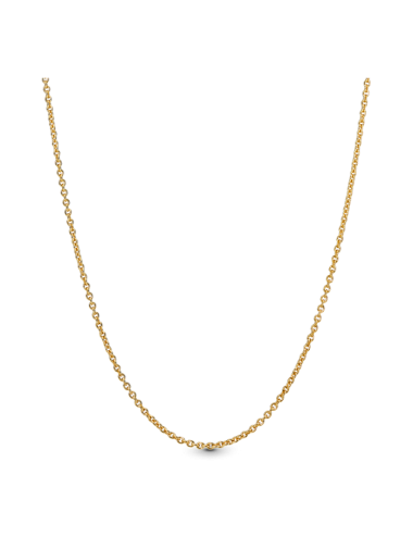 Colar de Corrente Pandora