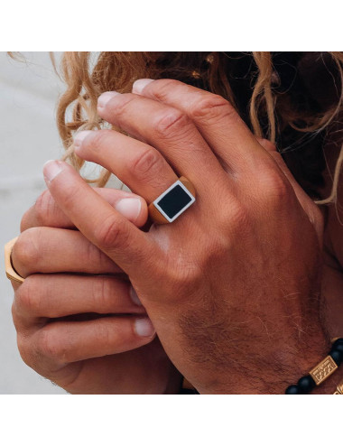 ANEL AUDI GOLD MATT IXXXI