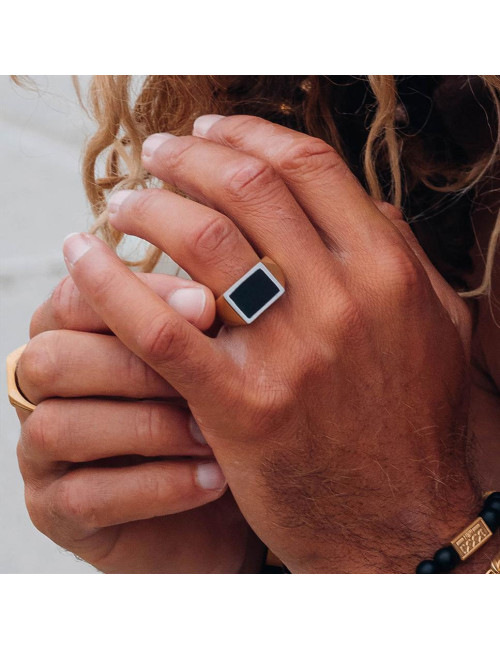 ANEL AUDI GOLD MATT IXXXI