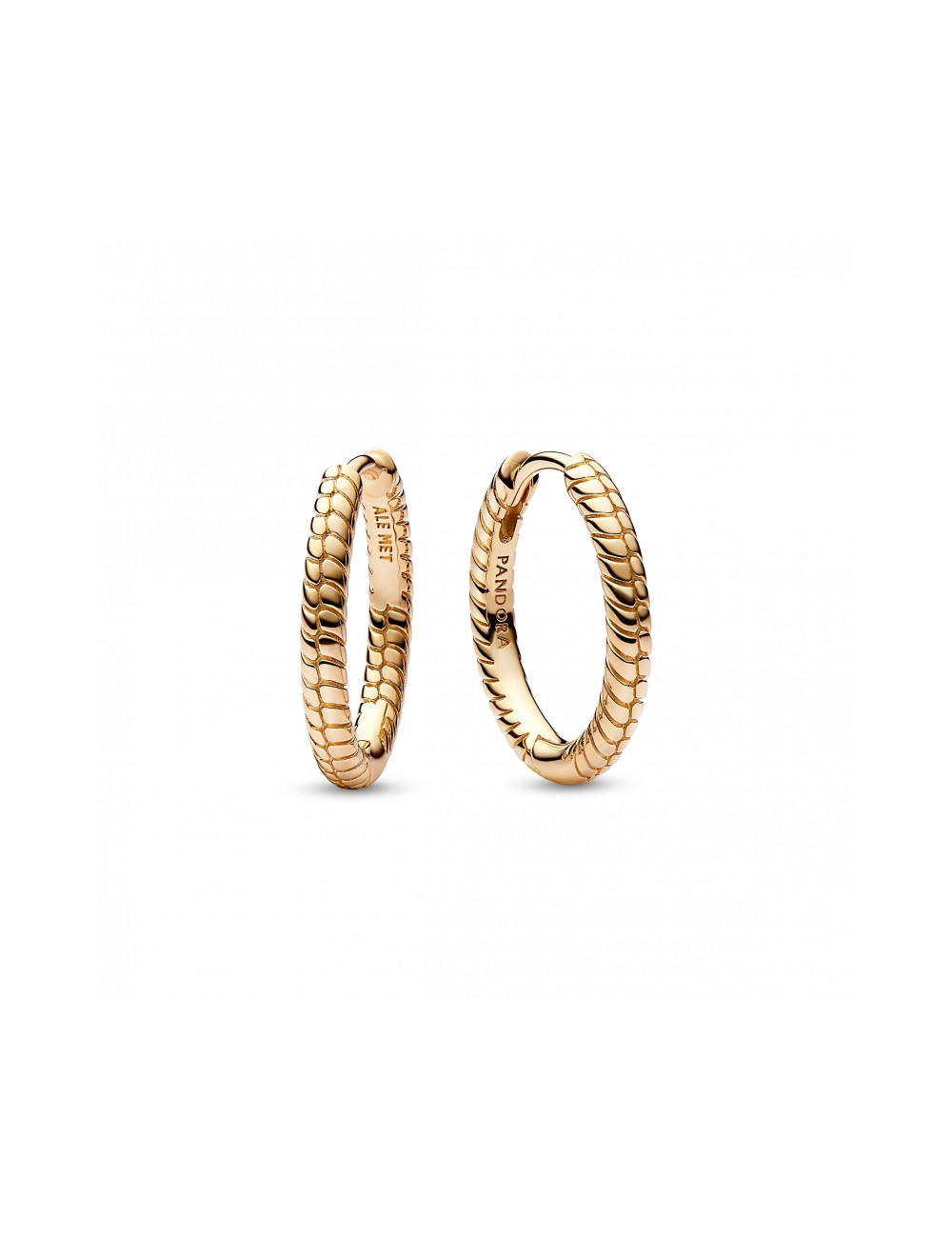 Argolas Snake Chain Pandora