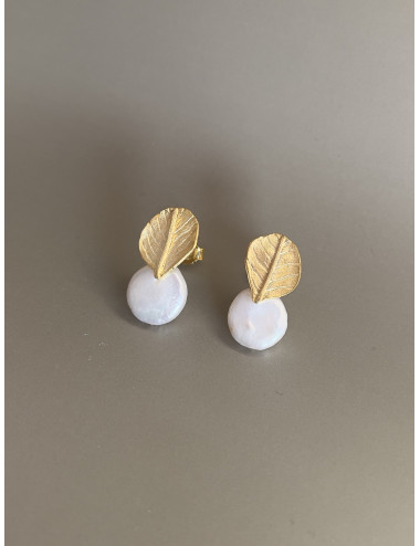 Brincos Sleve Prata Dourada