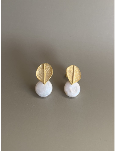 Brincos Sleve Prata Dourada