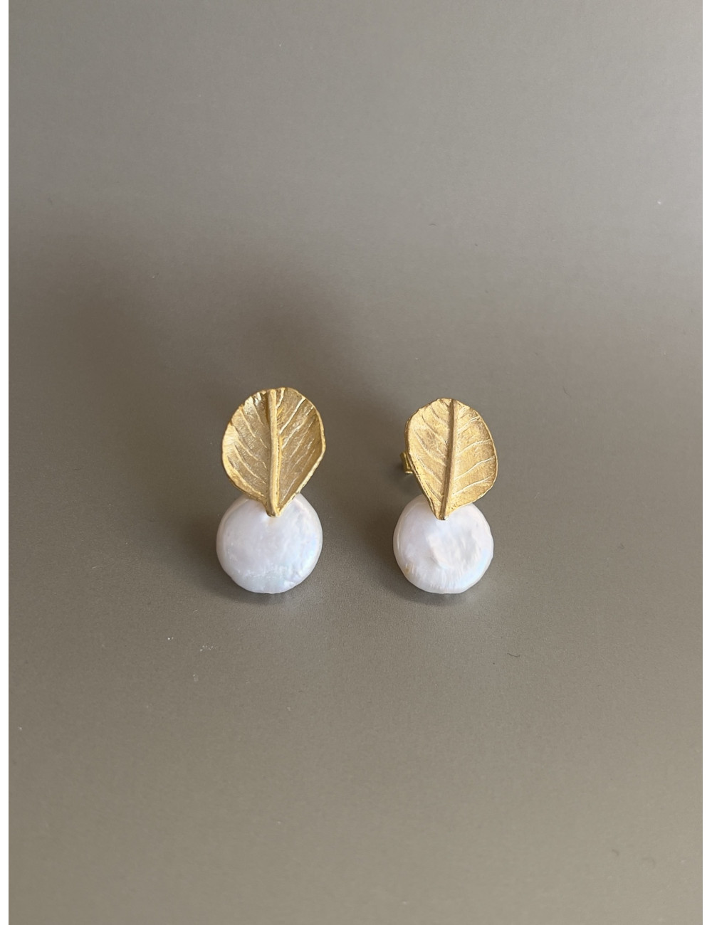 Brincos Sleve Prata Dourada