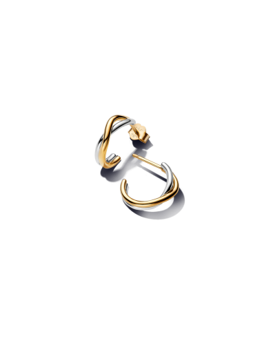 Brincos Forma Organica Pandora