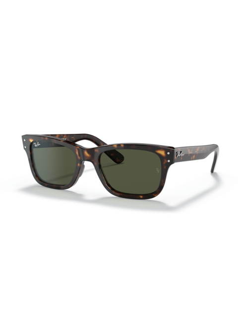 Óculos Ray Ban Mr burbank