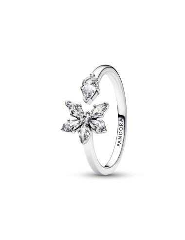 ANEL SPARKLING HERBARIUM PANDORA