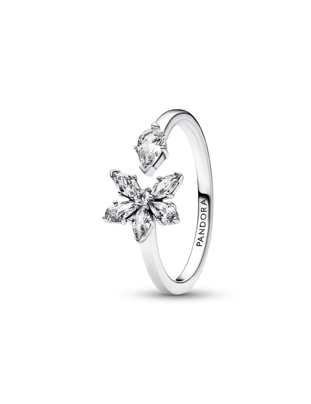 ANEL SPARKLING HERBARIUM PANDORA
