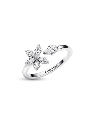 ANEL SPARKLING HERBARIUM PANDORA