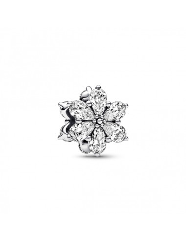 CONTA PANDORA HERBARIUM