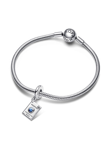 Conta Pandora Passport