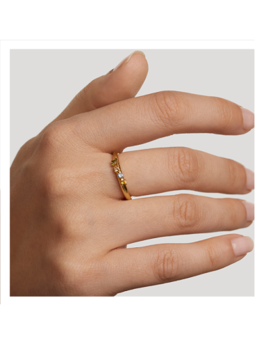 Anel Rainbow Wing PdPaola