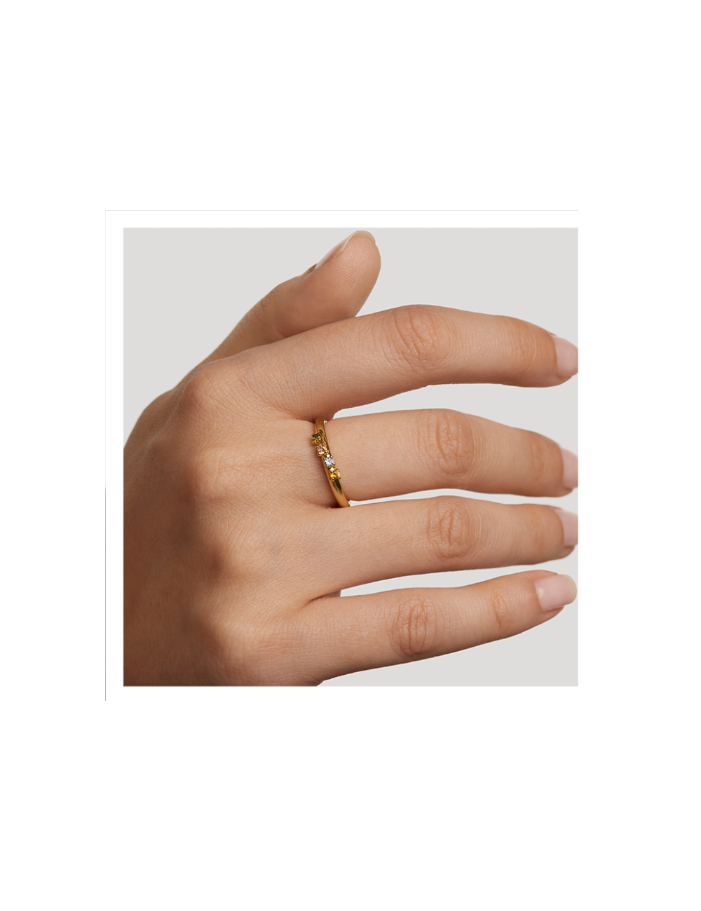 Anel Rainbow Wing PdPaola