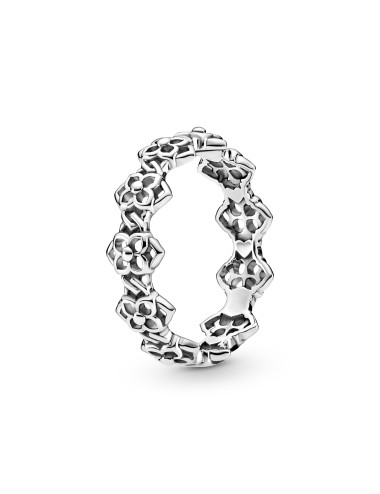 ANEL ROSE PETALS PANDORA